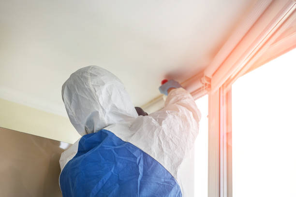 Best Residential Mold Inspection & Testing  in Point Lookout, NY